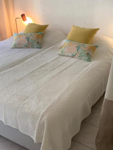 Soraya , Quiet Location With Big Garden Near And Old Town Of * Nice